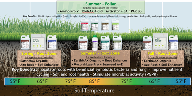 Reviving Roots: Turfgrass Health After a Stressful Summer